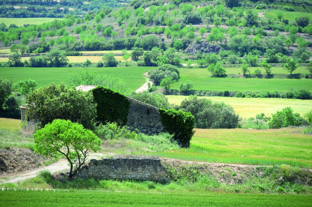 Hostal Palouet De Segarra ภายนอก รูปภาพ